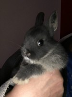 /album/algunos-de-nuestros-reproductores/mel-2-meses-jpg/